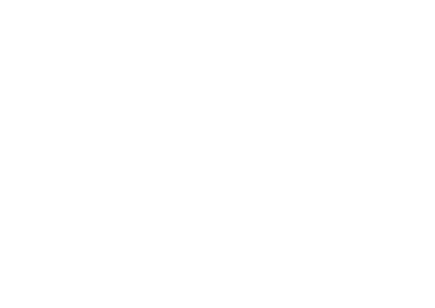 Cody International